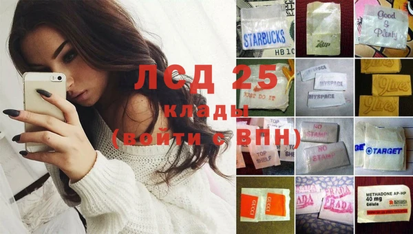 спайс Баксан