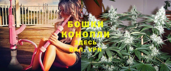 спайс Баксан